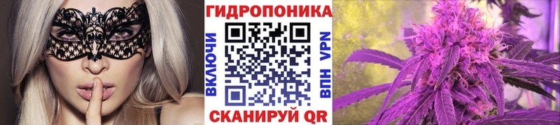 Бошки Шишки индика  omg ссылки  Симферополь 